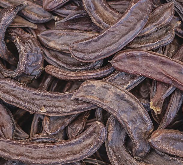 ¡Ya disponibles los precios de la algarroba 2025-2026!